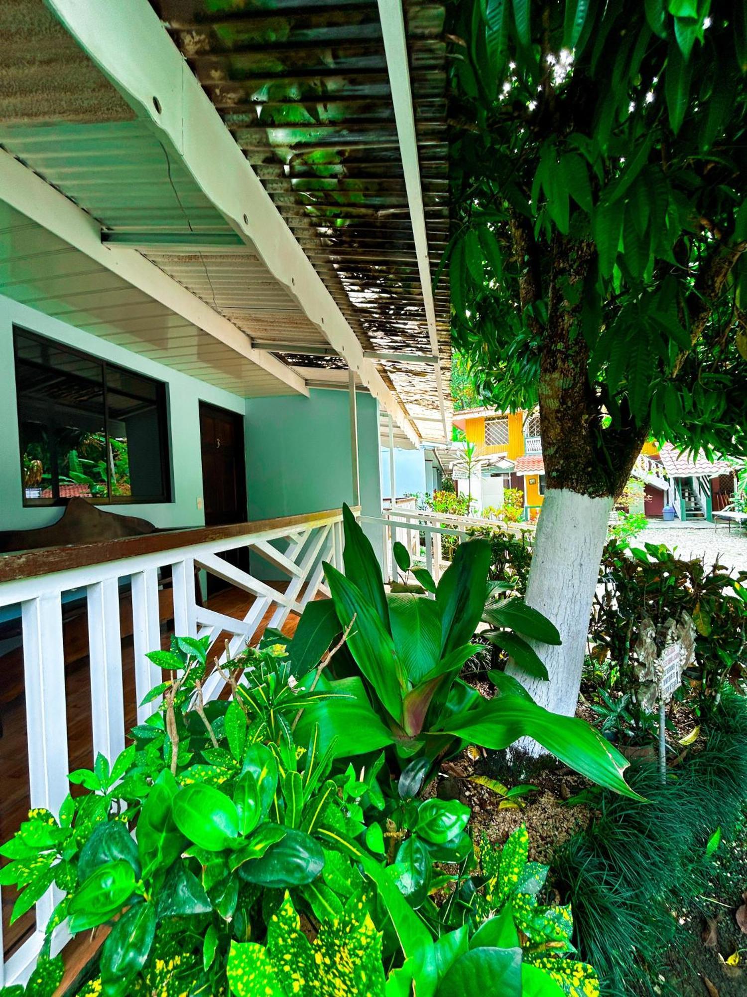 Cabinas Ole Caribe Puerto Viejo de Talamanca Luaran gambar